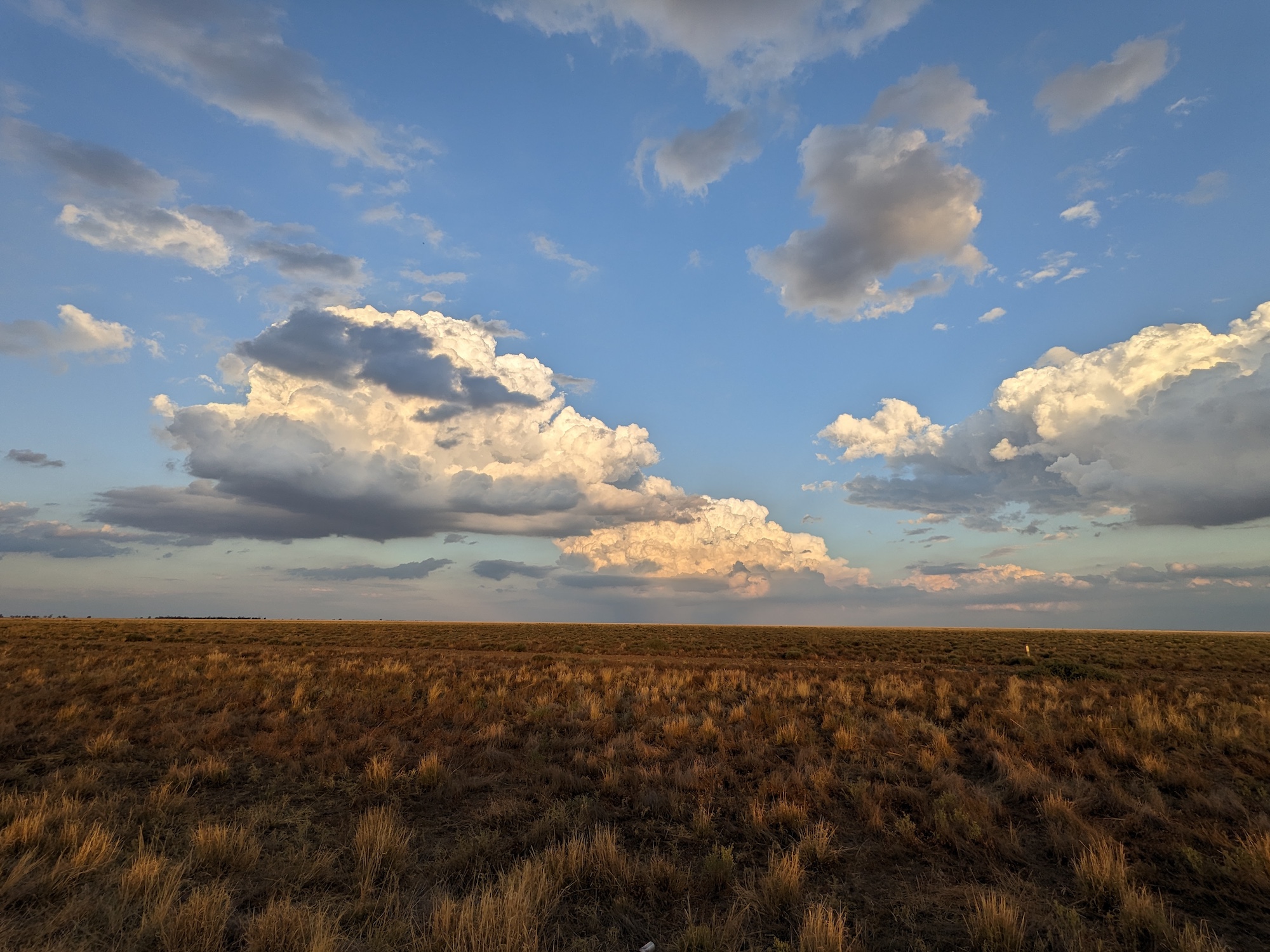 PEC East Hay Plain 2