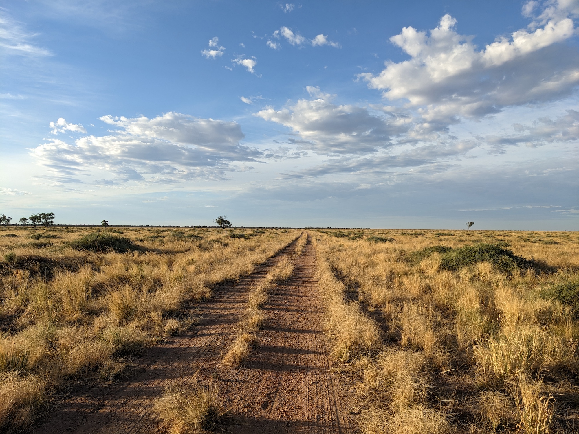 PEC East Yanga National Park