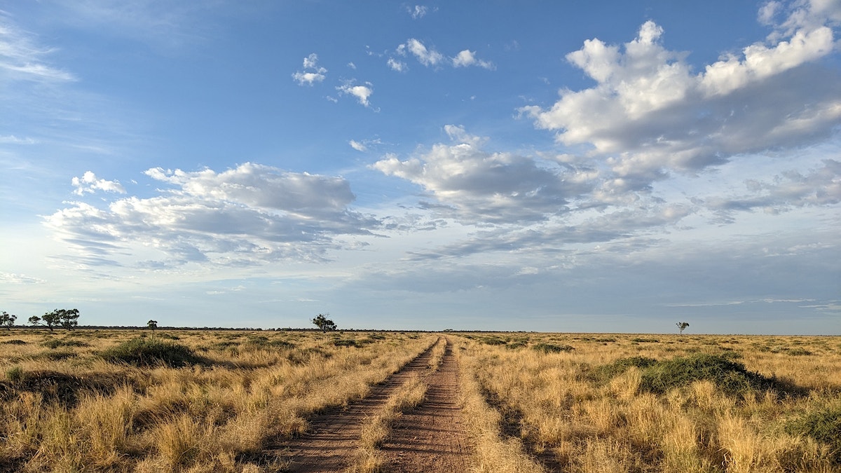 PEC East Yanga National Park