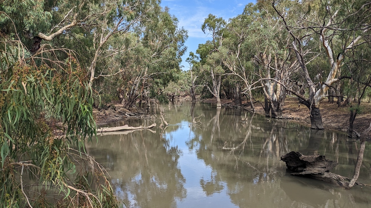 PEC East Yangco Creek