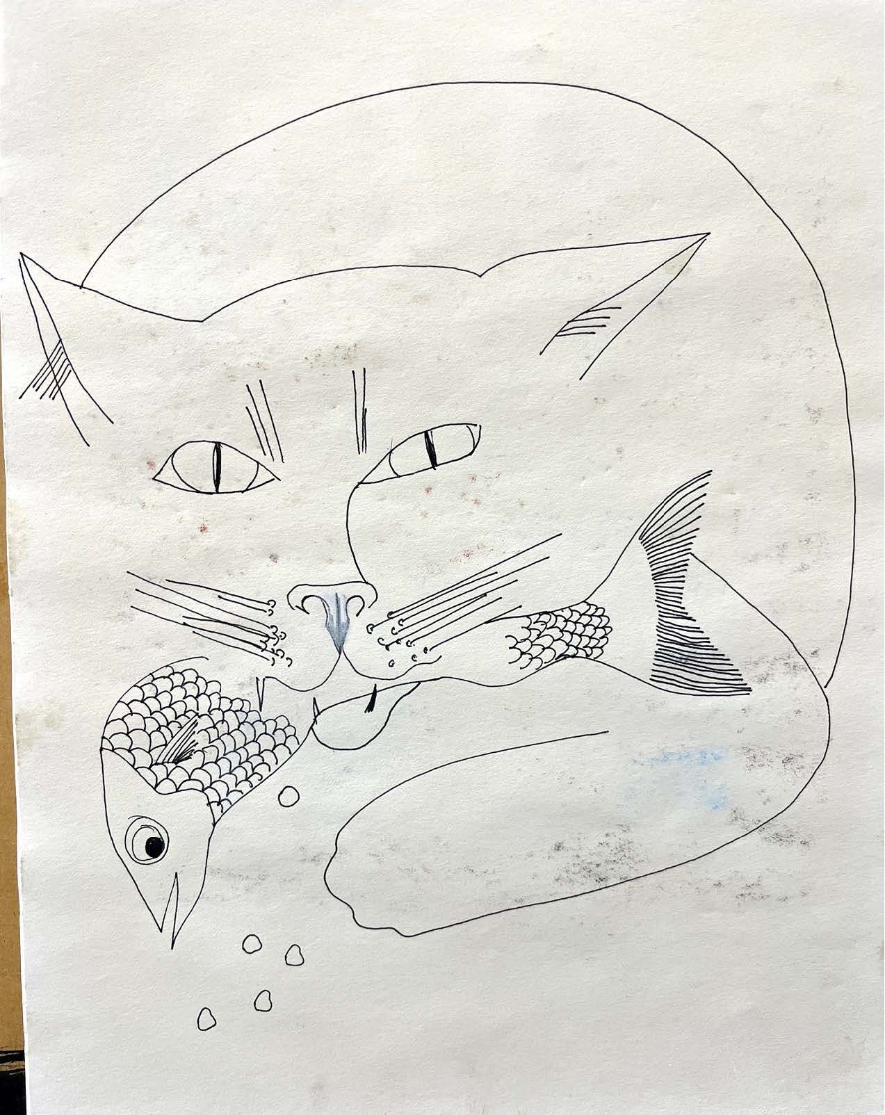 Cat image mary